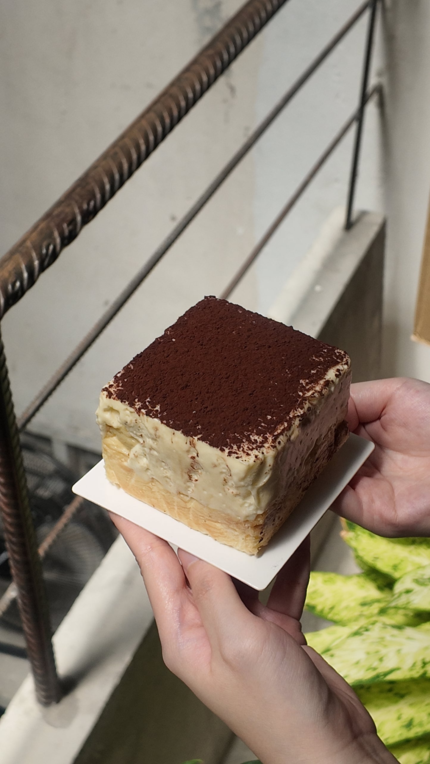 Tiramisu Basque Cheesecake
