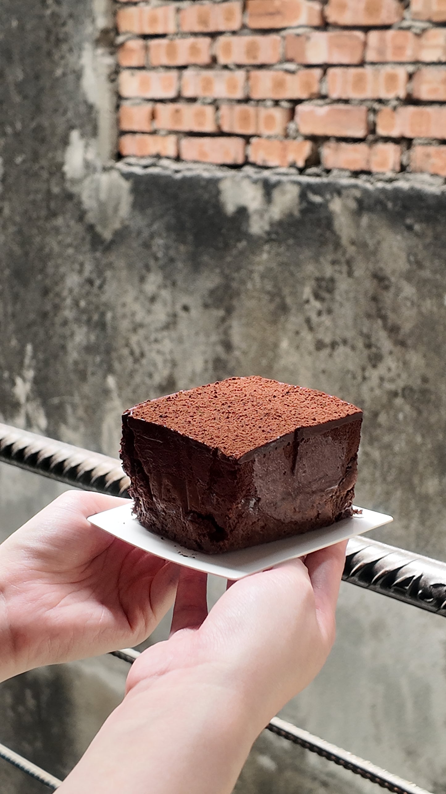 Triple Chocolate Basque Cheesecake